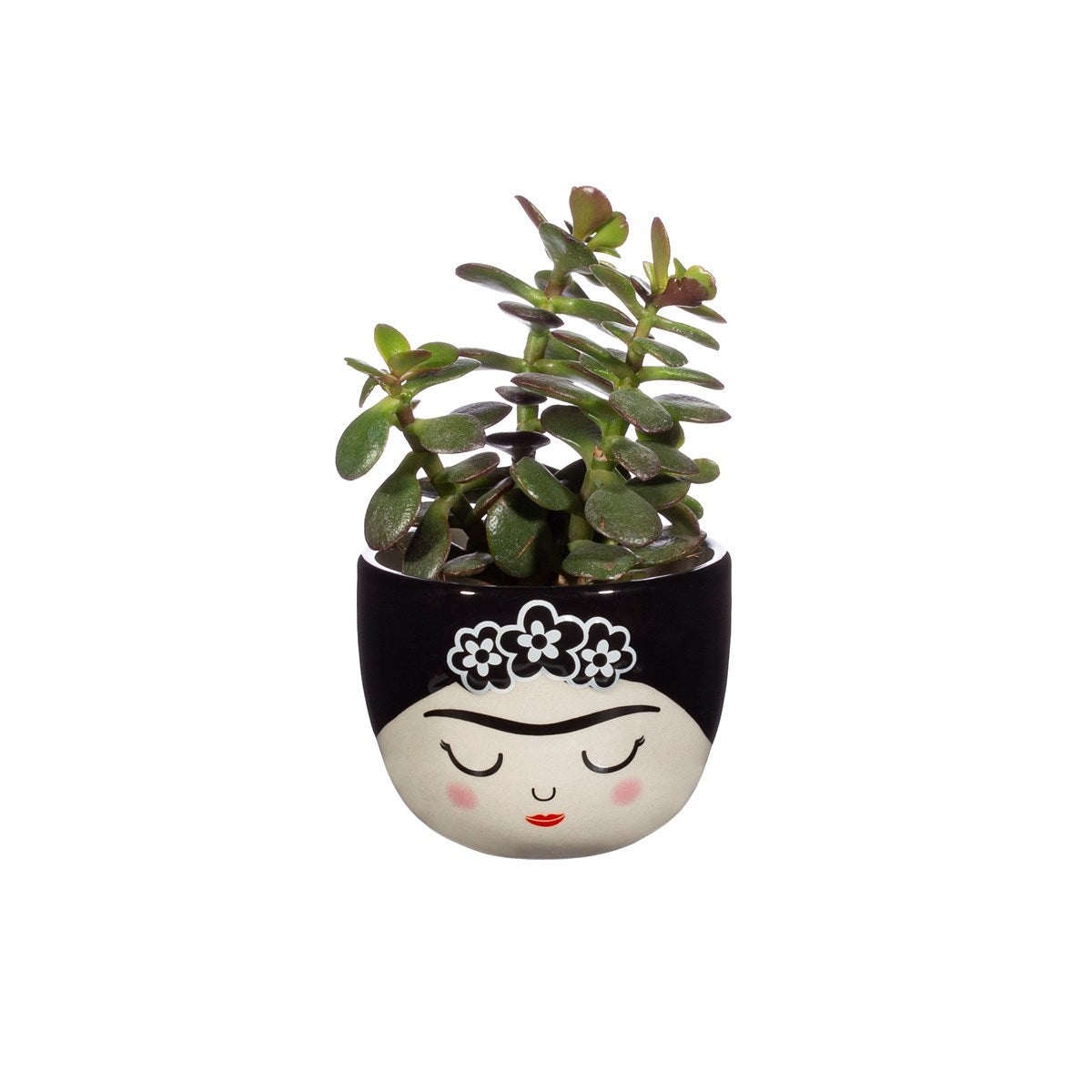 Mini Frida Monochrome Planter